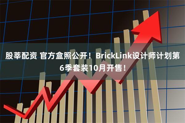 股莘配资 官方盒照公开！BrickLink设计师计划第6季套装10月开售！